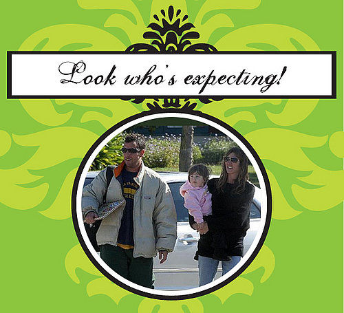 Adam Sandler and Wife Jackie Expecting Another Baby