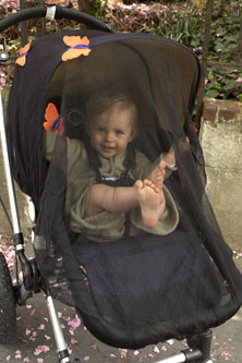 Mosquito Nets for Strollers