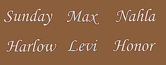 Favorite Celebrity Baby Name
