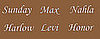 Favorite Celebrity Baby Name