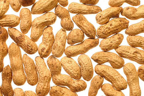 Nuts May Cause Asthma