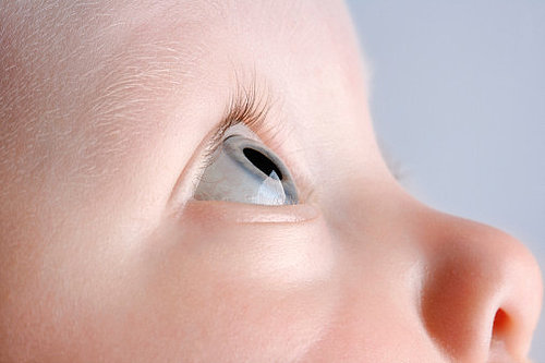 Color Eyes