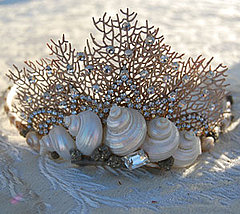 Shell Tiaras