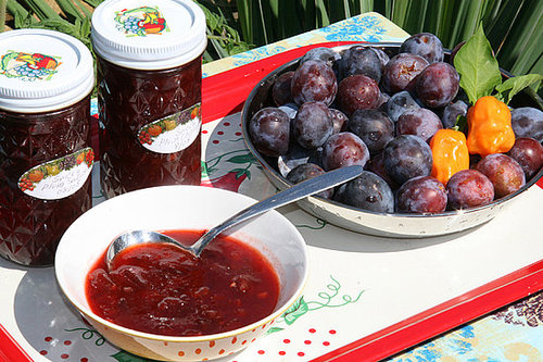 Plum Loco Refrigerator Jam