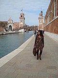 Venice Biennale