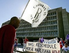 Marijuana Majority? State and Local Laws Ease Access