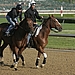Horses or Horse Power: Which May racing event do you prefer?