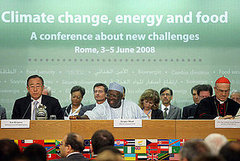 UN Leader: World Needs 50 Percent More Food UN Leader: World Needs 50 Percent More Food
