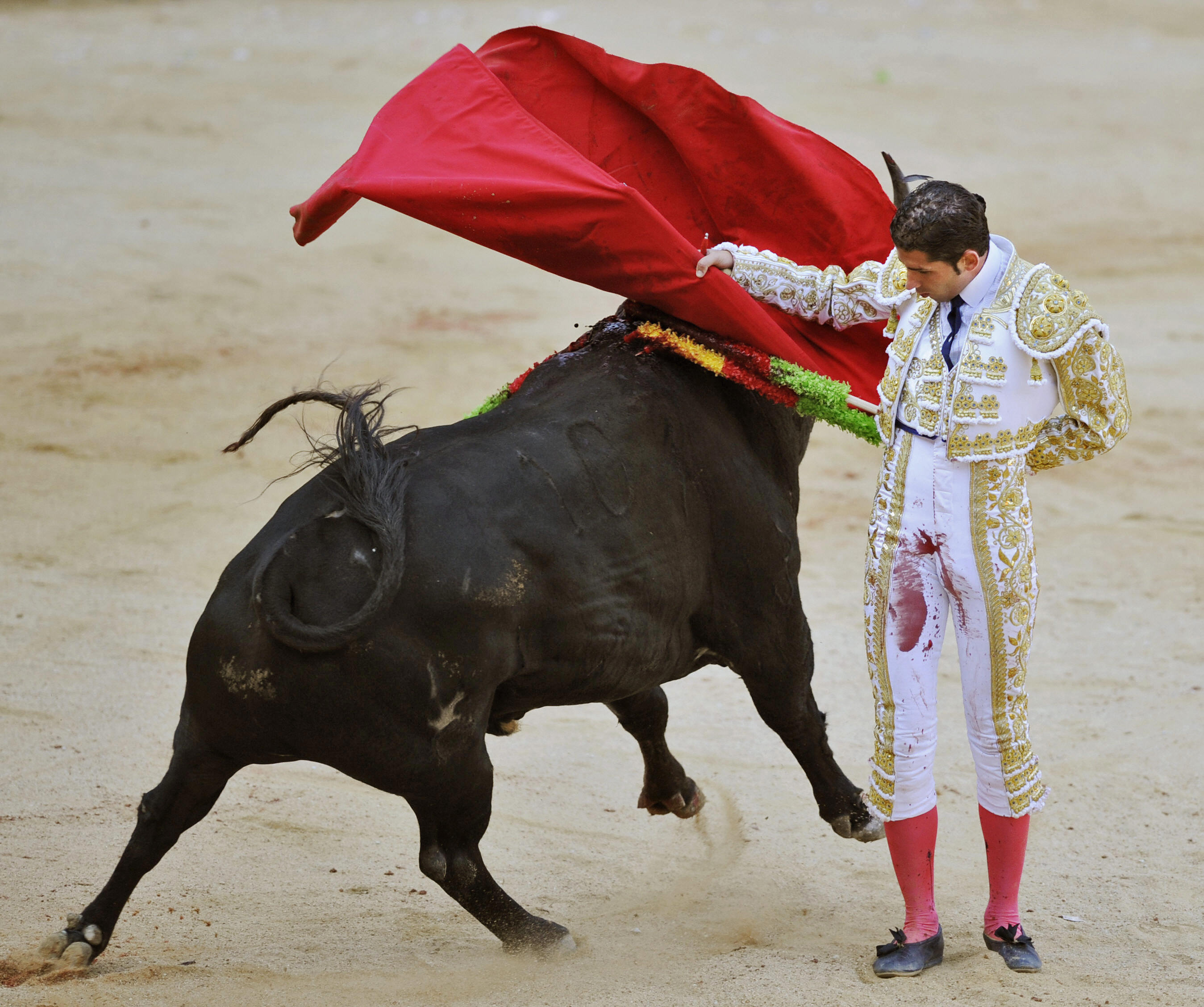 Spanish matador Serafin Martin. Spanish matador Serafin Martin.