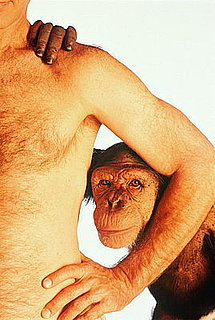 The Human Climax? Expert Says Evolution Is Over 