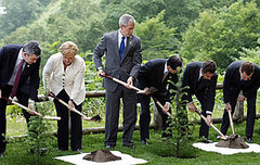 Not the Greenest President: Bush's Environmental Sins