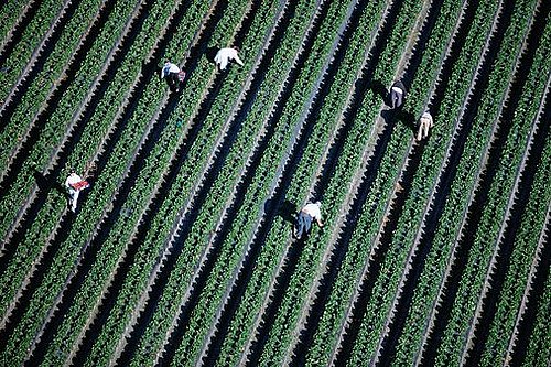 Immigrants the New Slave Labor? FBI Probes Treatment 