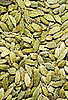 Definition of Cardamom