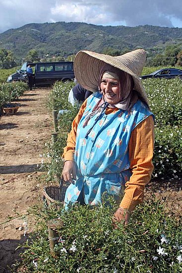 Working in the field