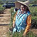 Working in the field