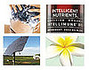 Intelligent Nutrients