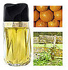 Definition of Chypre