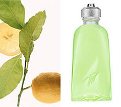 Definition of Citrus in the Fragrance Group Definition of Citrus in the Fragrance Group