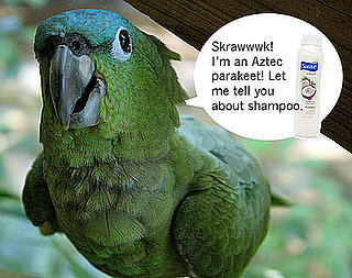 In Which Bella Is Tricked by Shampoo in the Jungle!