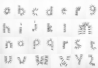 Bat Your Lashes at This Cool Typeface