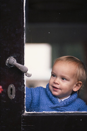 Baby Wellness:  Babyproofing Services 
