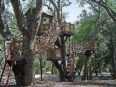 Toy Box: At Home in the Trees