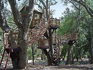 Toy Box: At Home in the Trees