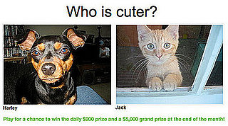 Have You Played "Which Pet Is Cuter?" for Money Yet?!