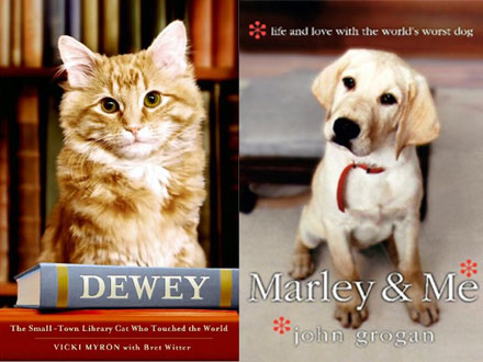 Pet Books to Curl Up With This Holiday Pet Books to Curl Up With This Holiday