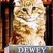 Dewey: The Small-Town Library Cat Who Touched the World