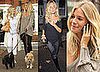 Photos Of Sienna Miller And Her Mum Walking Dogs In London
