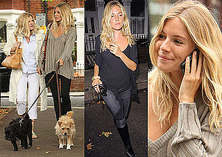 Photos Of Sienna Miller And Her Mum Walking Dogs In London