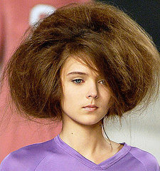 Catwalk Trend For Bird's Nest Hair as Seen on Mischa Barton, Olsen Twins and Girls Aloud Sarah Harding. Catwalk Trend For Bird's Nest Hair as Seen on Mischa Barton, Olsen Twins and Girls Aloud Sarah Harding.