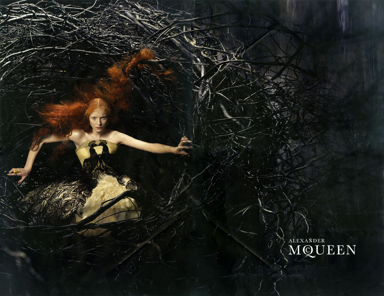 Alexander McQueen's Avian Alice Gibb for Fall 2008 Alexander McQueen's Avian Alice Gibb for Fall 2008