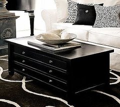 The Map Coffee Table is very sleek and modern.