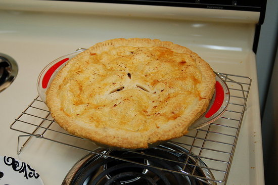 So the crust doesn't look perfect, but it was pretty good for my first pie ever!