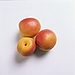 Apricots