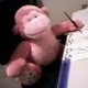 Pink-Monkey Pink-Monkey