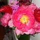 prettyinpink86
