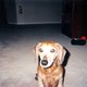 sunset200218 sunset200218