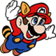 Which Super Mario power would you rather have?