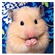 cocopuff80 cocopuff80