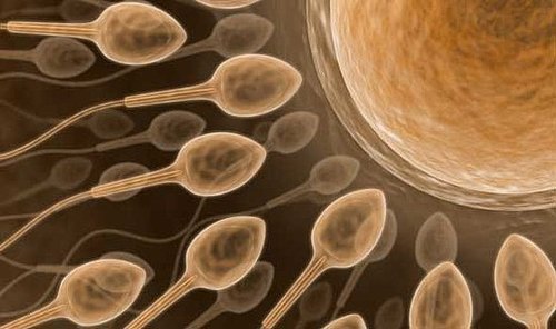 Semen has mind control properties