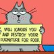graciethecat graciethecat