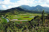 Hanalei Valley