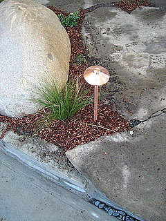 A Coveted California Garden