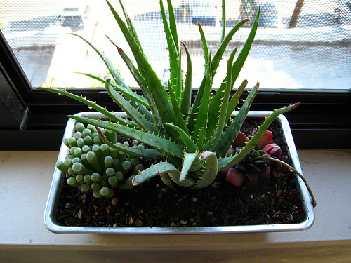 Roundup: Weekend DIYs Roundup: Weekend DIYs
