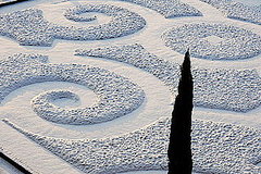 Midday Muse: The Charming Winter Garden Midday Muse: The Charming Winter Garden