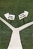 Love It or Hate It? Crazy New Sh*t Rug