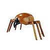 Love It or Hate It? Insect Stool